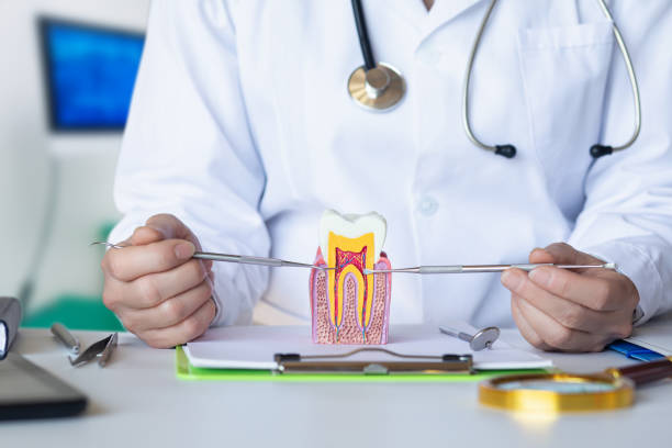 Best Same-Day Emergency Dental Services in Ellitt, CO